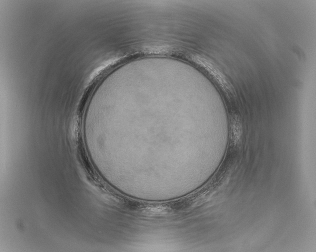 X0000114640583200911171032