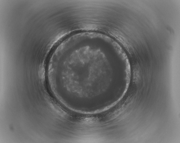 X0000114640584200911171032