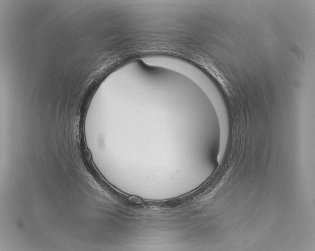 X0000114640585200911171032