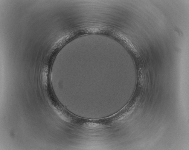 X0000114640590200911171032