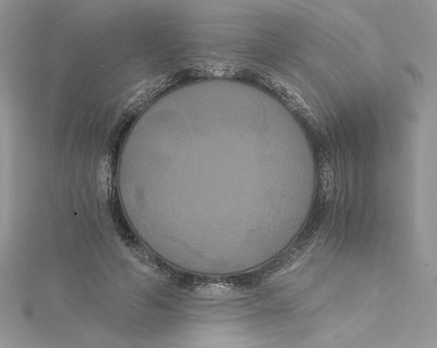 X0000114640594200911171031