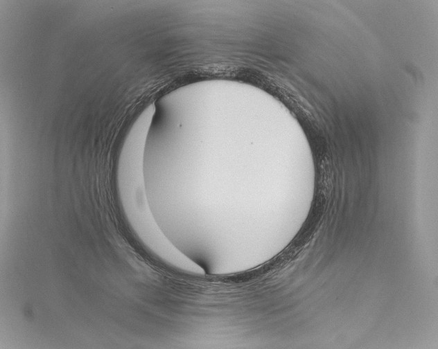 X0000114640597200911171031