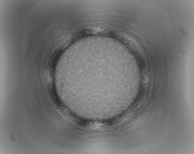 X0000114640607200911171031