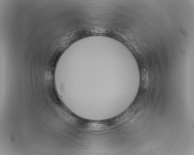 X0000114640614200911171031
