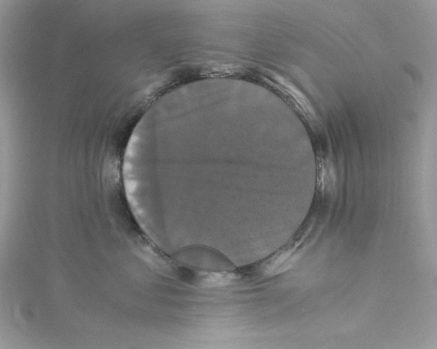 X0000114640621200911171031