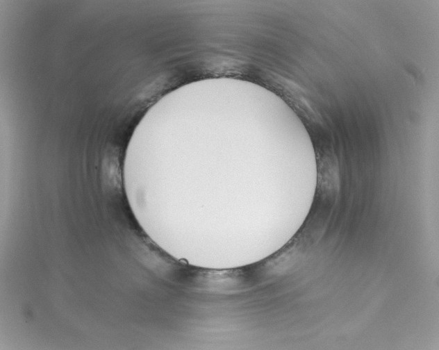X0000114640622200911171031