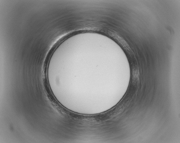 X0000114640628200911171030