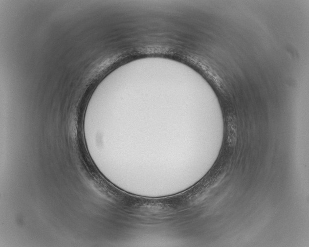 X0000114640631200911171031
