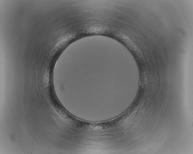 X0000114640640200911171031