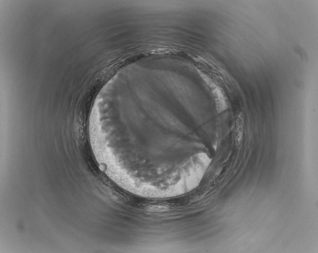 X0000114640653200911171031