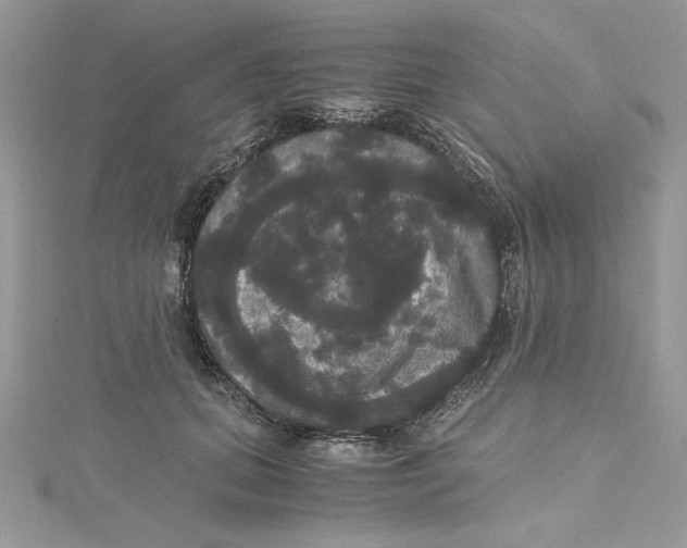 X0000114640655200911171031