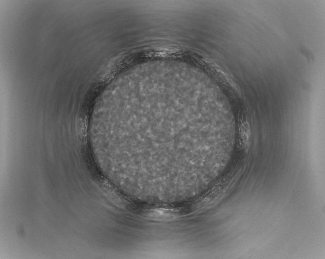X0000114640657200911171031