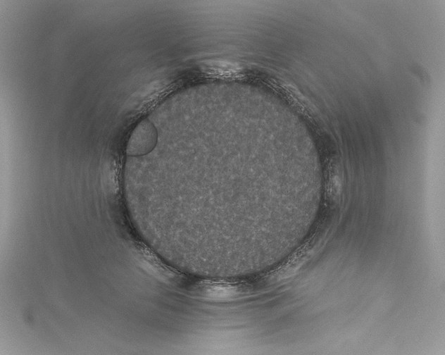 X0000114640658200911171031