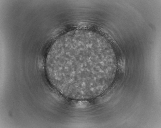 X0000114640663200911171031