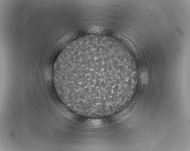 X0000114640665200911171031