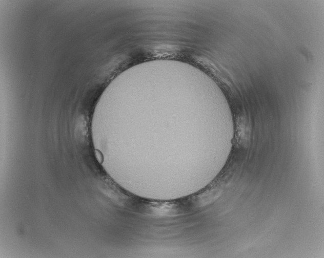 X0000114640667200911171031