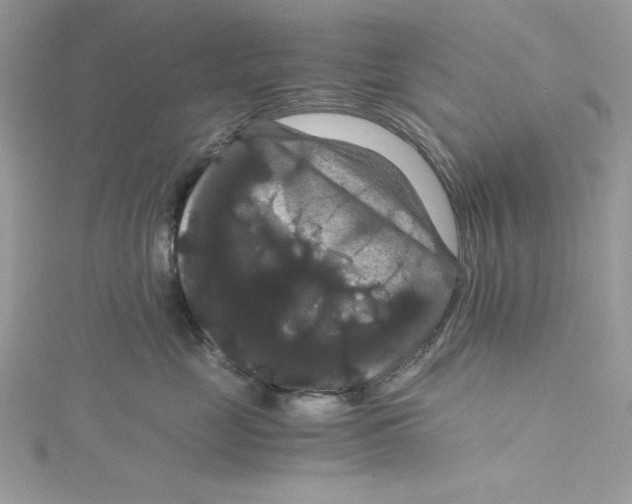 X0000114640669200911171031
