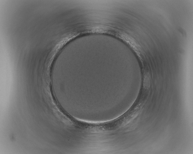 X0000114640673200911171030