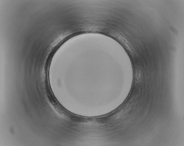 X0000114640674200911171030