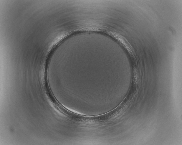 X0000114640677200911171030