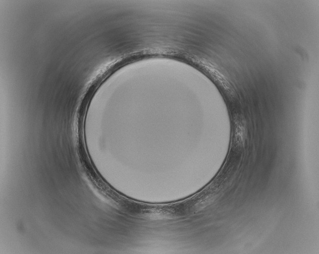 X0000114640678200911171030