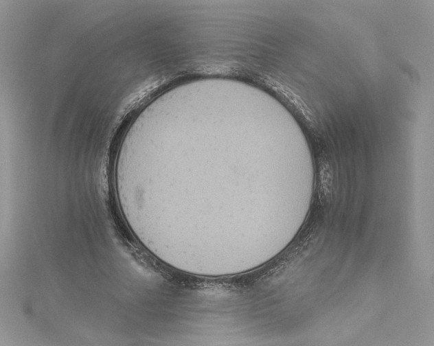 X0000114640682200911171030