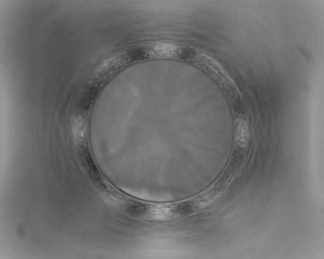 X0000114640701200911171030