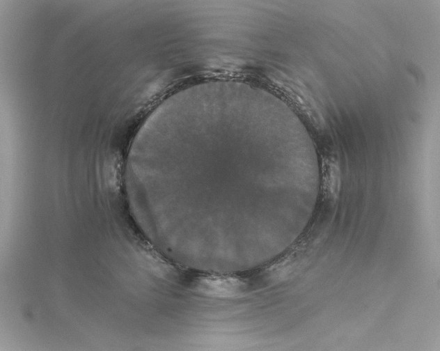 X0000114640712200911171030