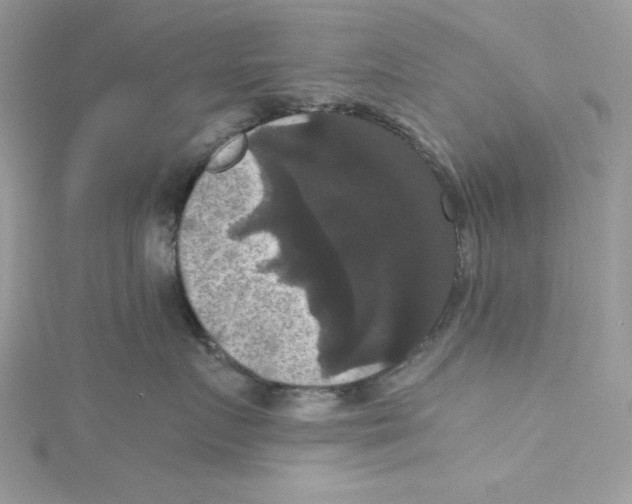 X0000114640719200911171030