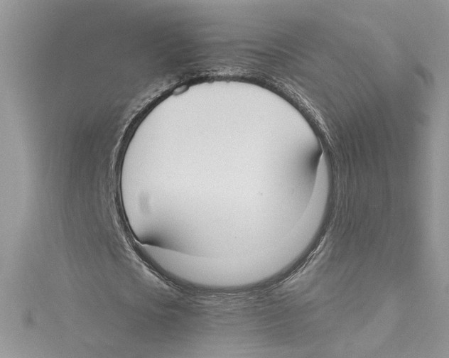 X0000114640721200911171029