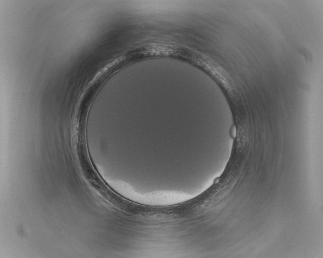 X0000114640722200911171029