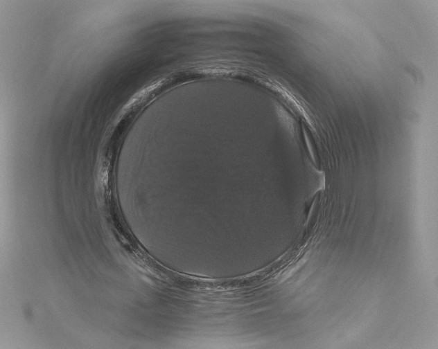 X0000114640723200911171029