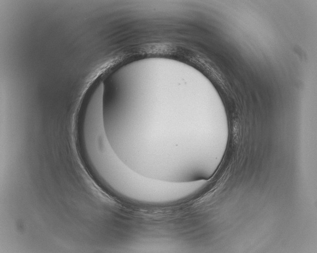 X0000114640725200911171029