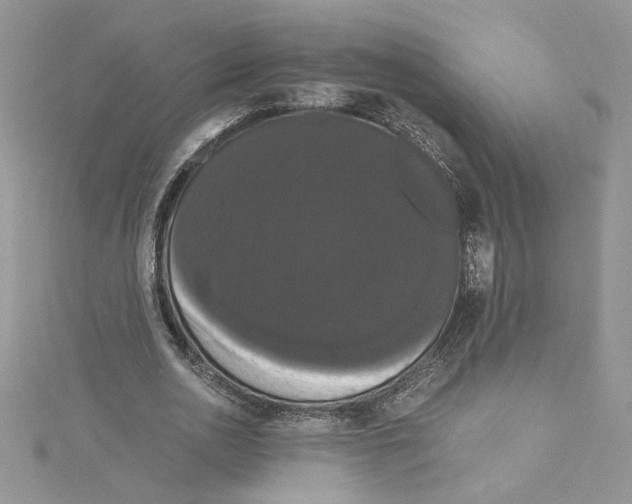 X0000114640726200911171029