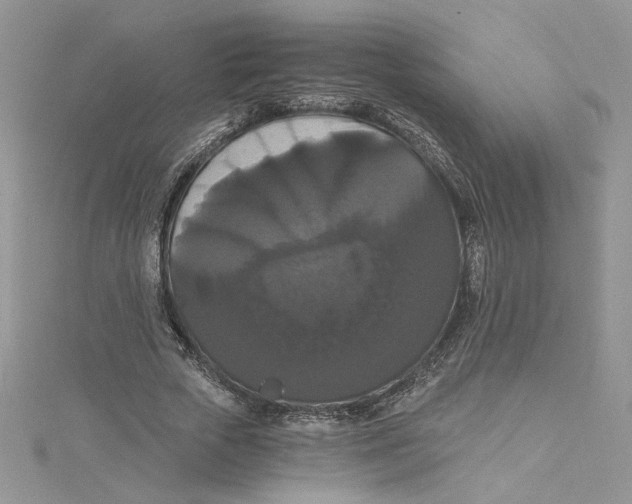 X0000114640729200911171029