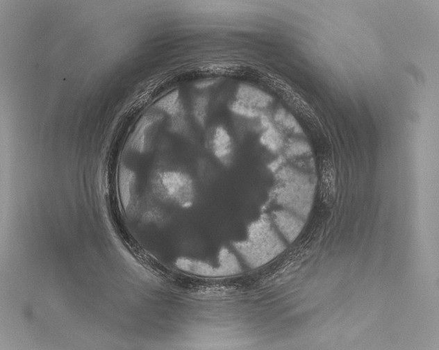 X0000114640734200911171029