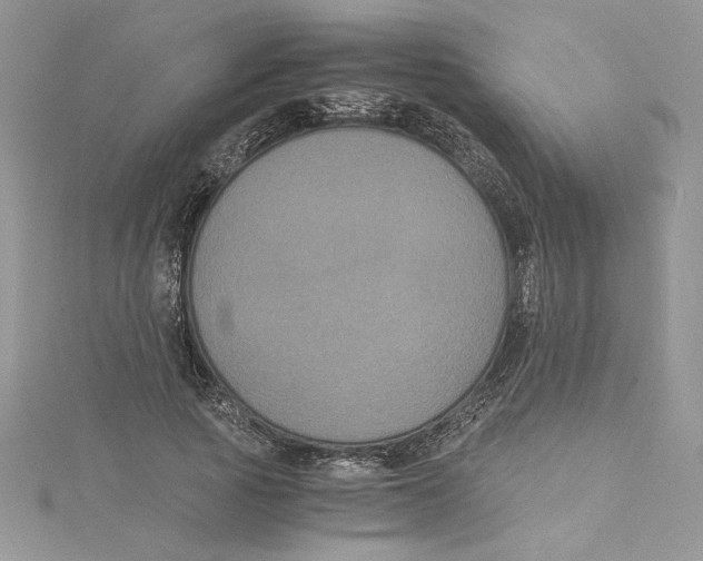 X0000114640737200911171029