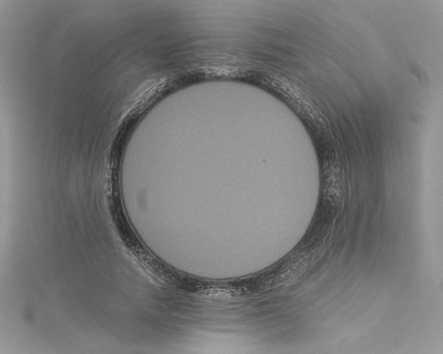 X0000114640738200911171029