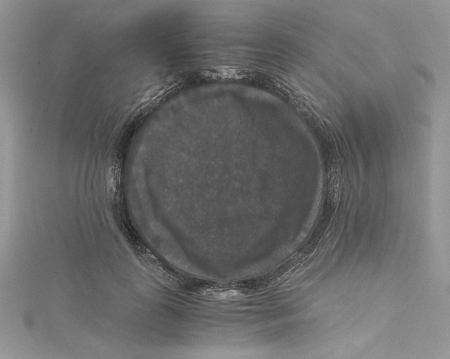 X0000114640747200911171030