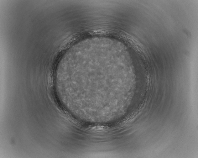 X0000114640751200911171030