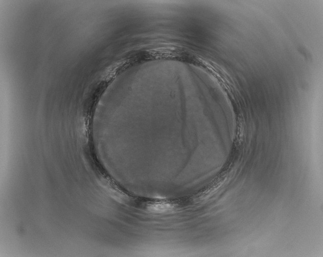 X0000114640759200911171030