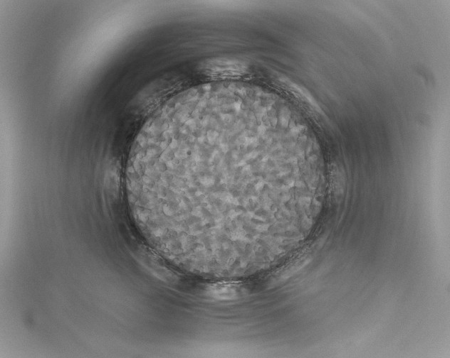 X0000114640761200911171030
