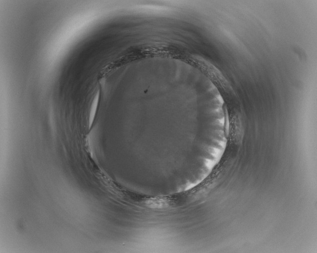 X0000114640762200911171030