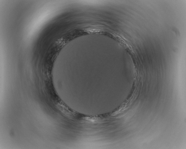 X0000114640763200911171030