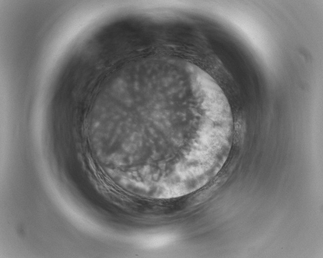 X0000114640765200911171030