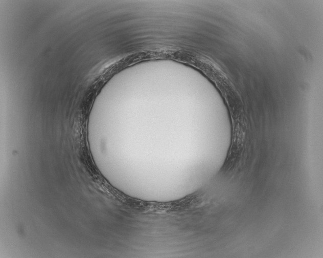 X0000114640773200911171029