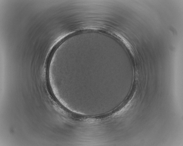 X0000114640779200911171029