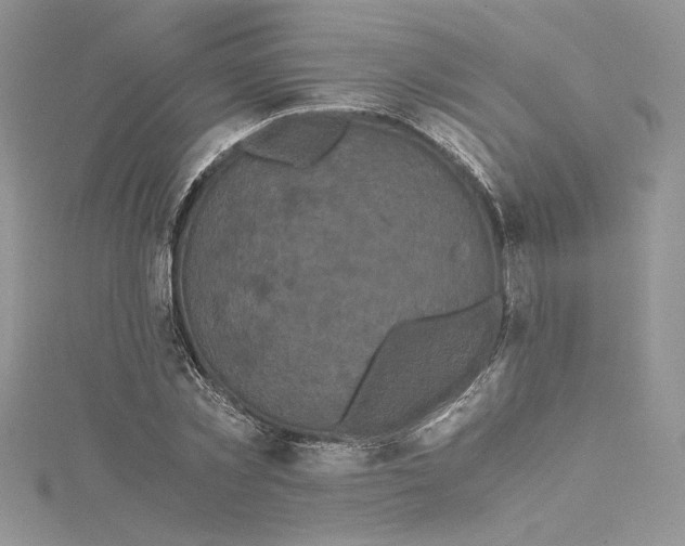 X0000114640781200911171029