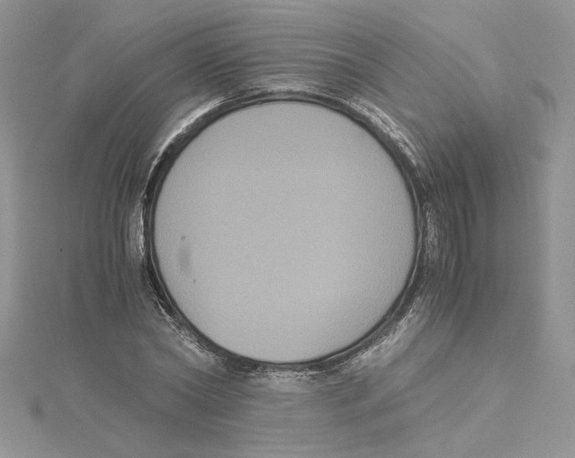 X0000114640782200911171029