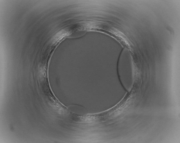 X0000114640785200911171029